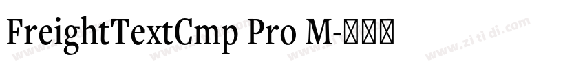 FreightTextCmp Pro M字体转换 FreightTextCmp Pro M字体转换